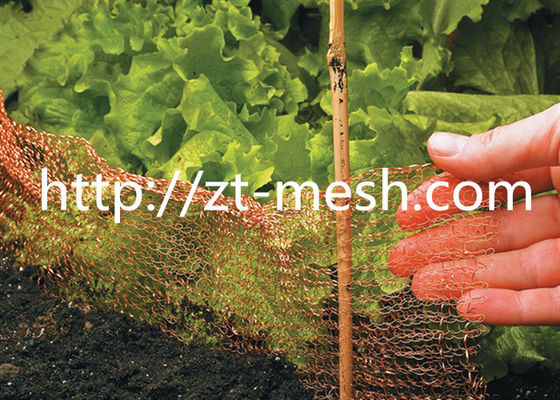 평평한 유형 및 골판지 유형 표면 나선 상처 또는 압축 기술을 갖춘 아연 도금 용접 와이어 메쉬